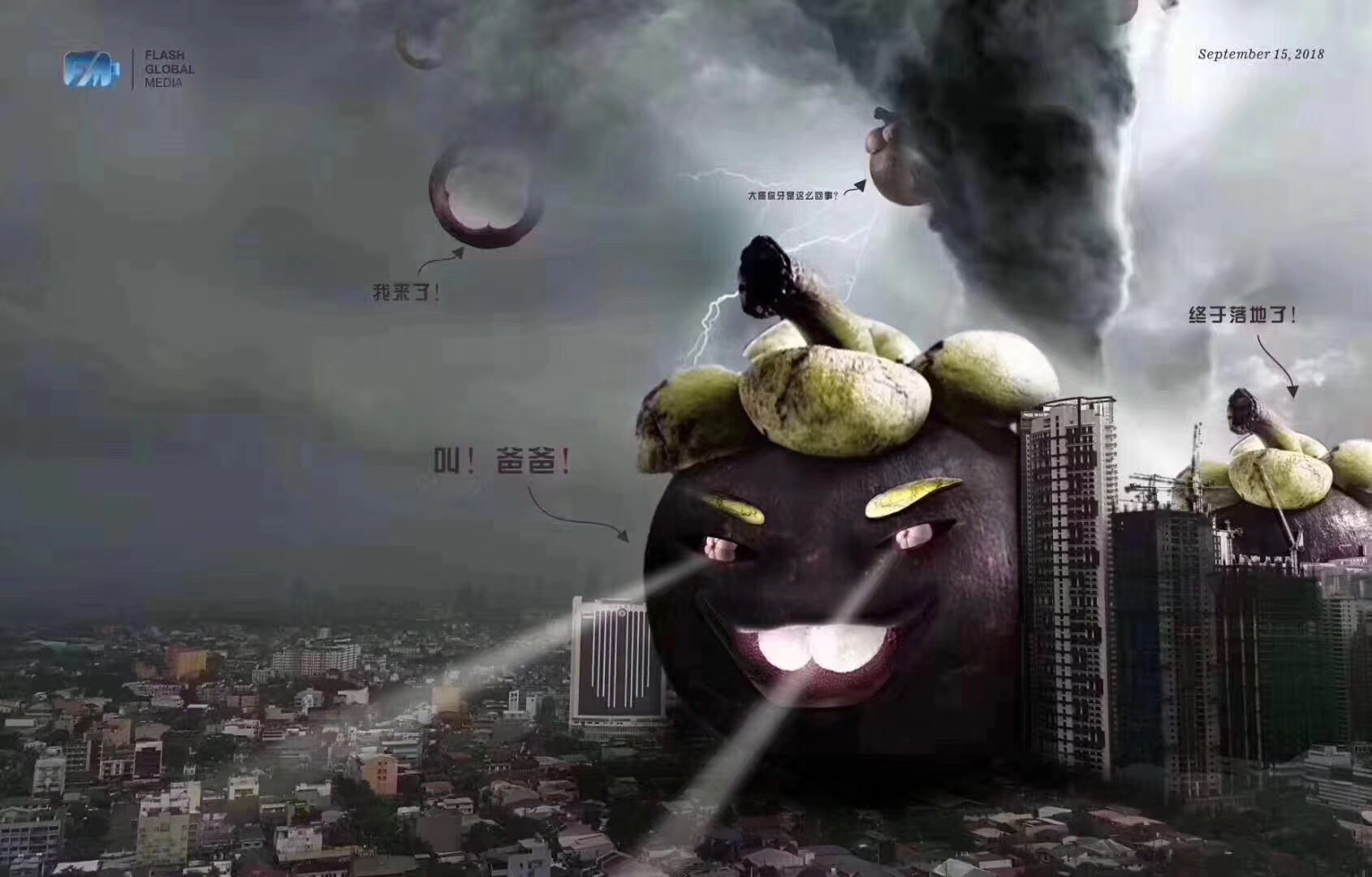 图片1